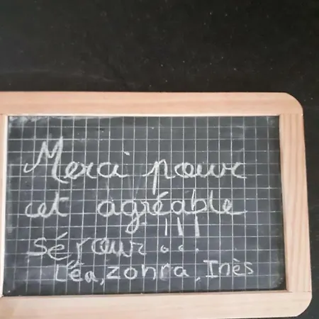 Le Purpan Appartement Toulouse